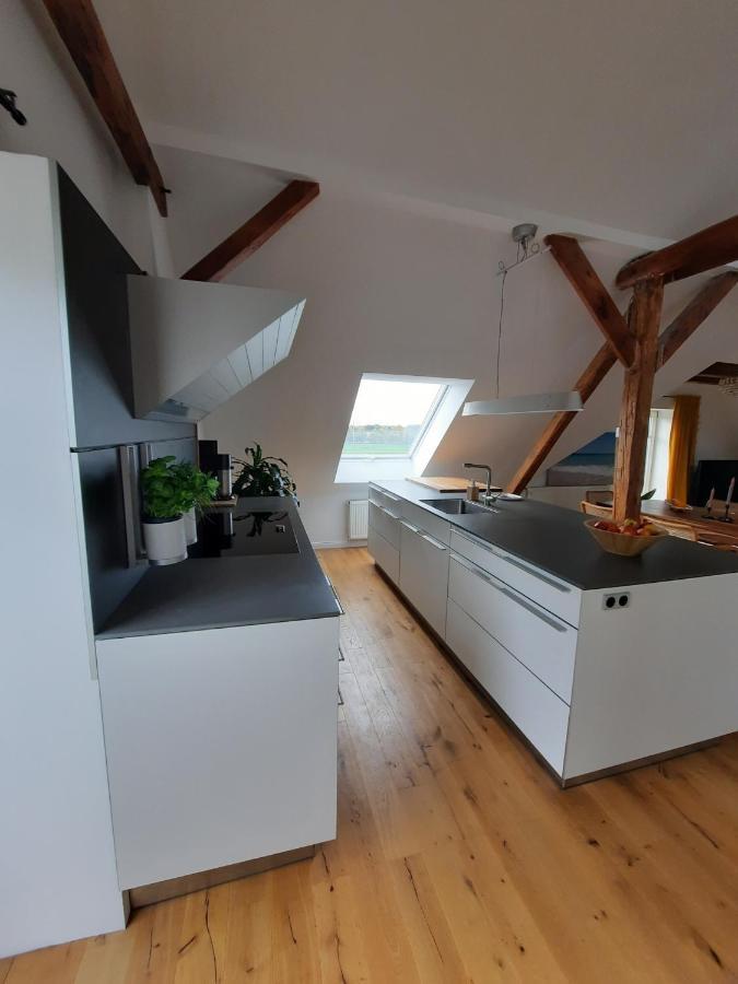 Luxurioeses Loft Mit Schoenem Blick Apartment Tremsbüttel